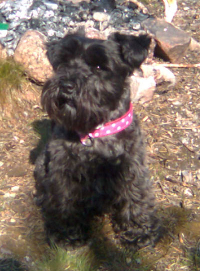 lillalice